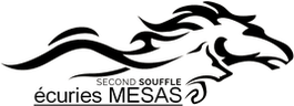 Logo Second Souffle, écuries Mesas