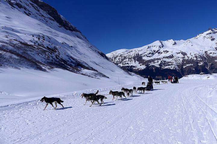 Balade en chiens de traîneau dans les Alpes (Val-Cenis, Savoie) : photo d'illustration, pas prise à l'Alpe d'Huez